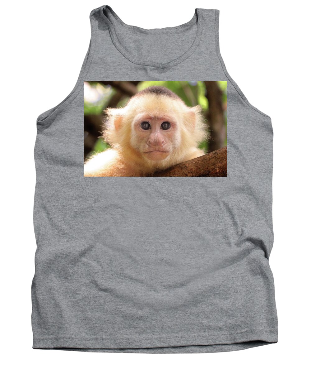Curious Tank Top featuring the photograph Curious George by Brian Gustafson