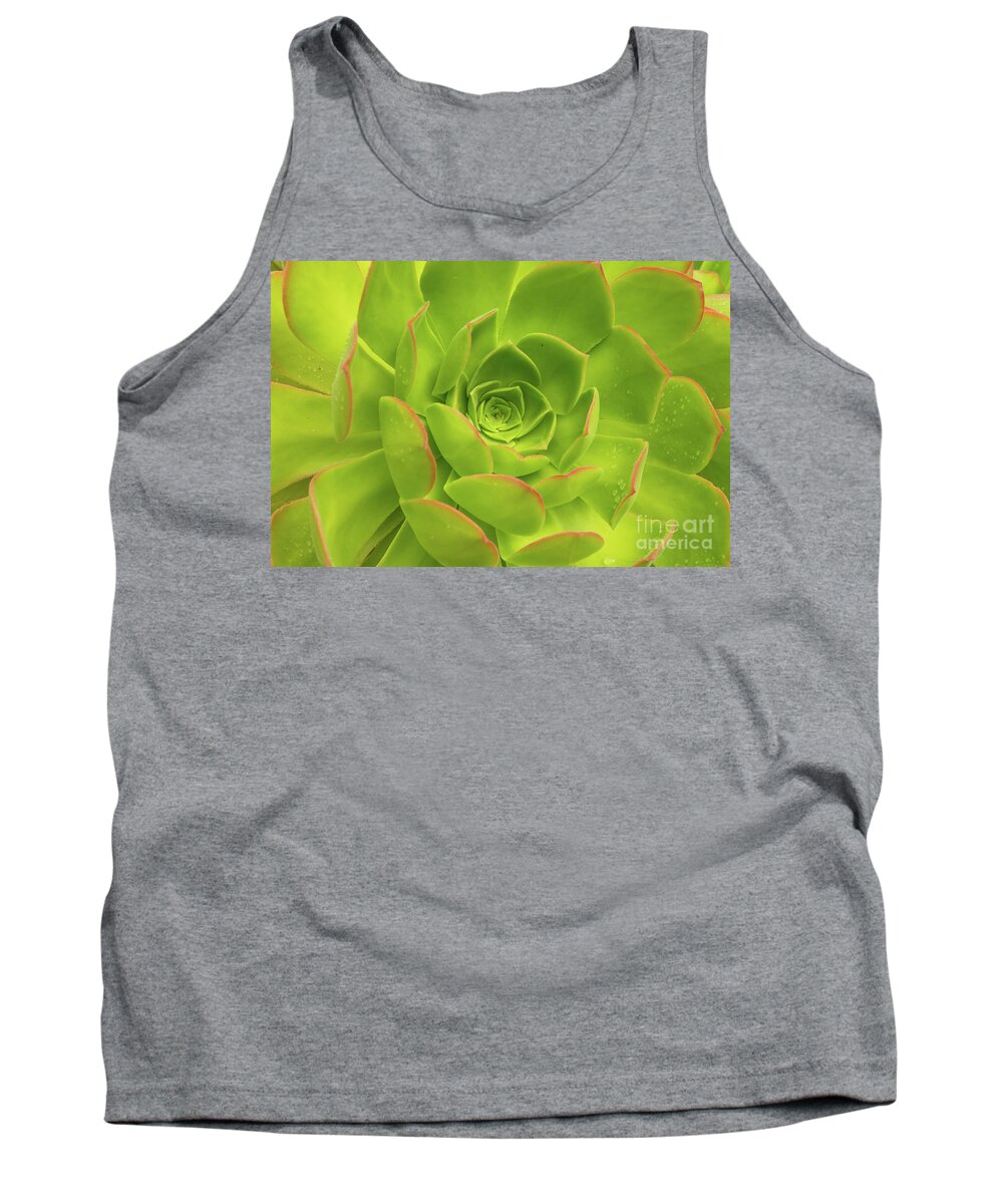 Aloe Tank Top featuring the photograph Detail Of A Fresh Green Succulent Plant With Pure Raindrops On Its Colorful Leaves by Andreas Berthold