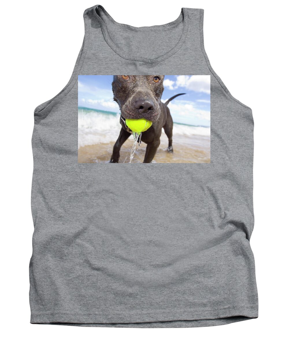 Brown Tank Top featuring the photograph Dog with ball in his mouth by David L Moore