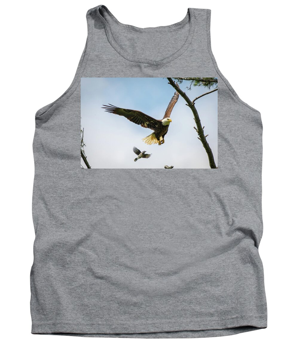 Eagle Tank Top featuring the photograph Eagle, Meet Blue Jay by Robert J Wagner