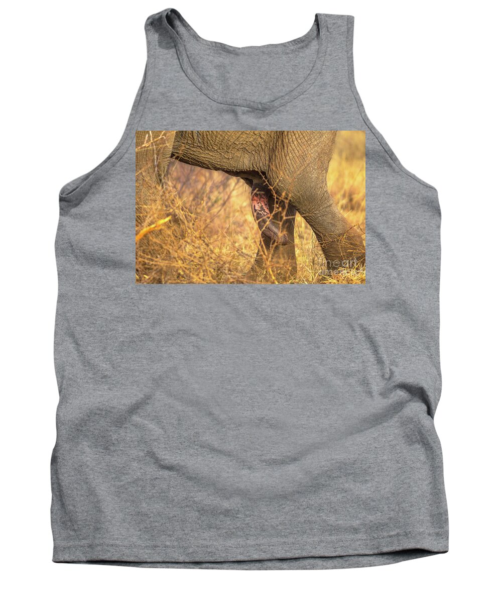 Elephant Penis Tank Top featuring the photograph Elephants penis by Benny Marty