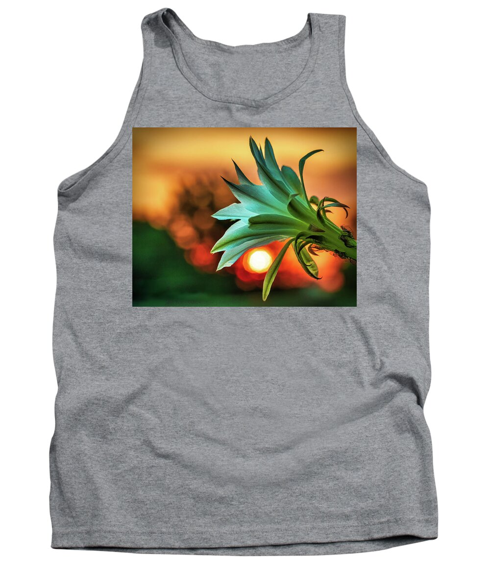 Backlit Tank Top featuring the photograph Even those that bloom in darkness can find the light by Robert FERD Frank