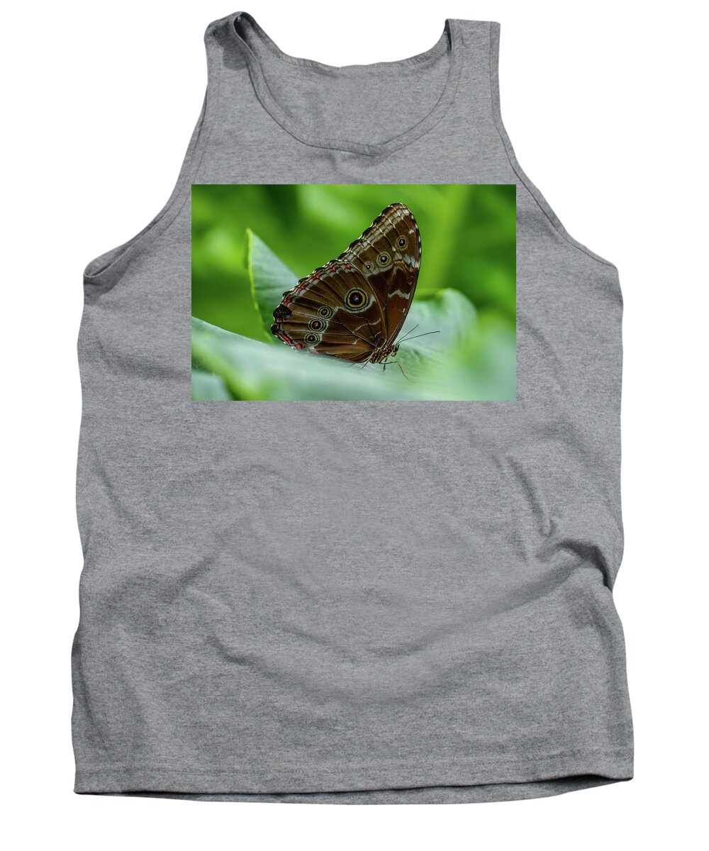 Common Buckeye Tank Top featuring the photograph Eye of the Beholder by Arthur Oleary