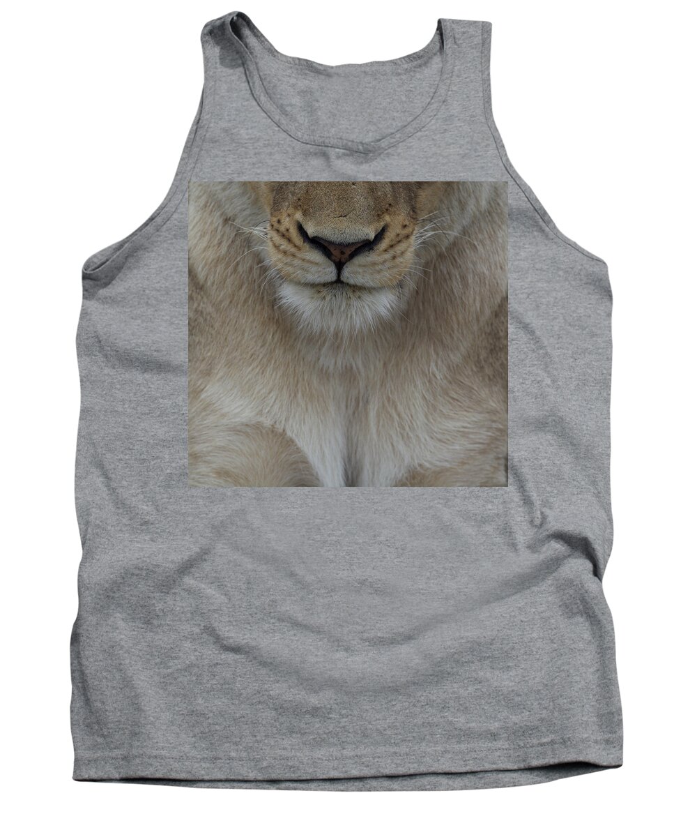 Lion Tank Top featuring the photograph Face of a lioness - a close up view by Mark Hunter