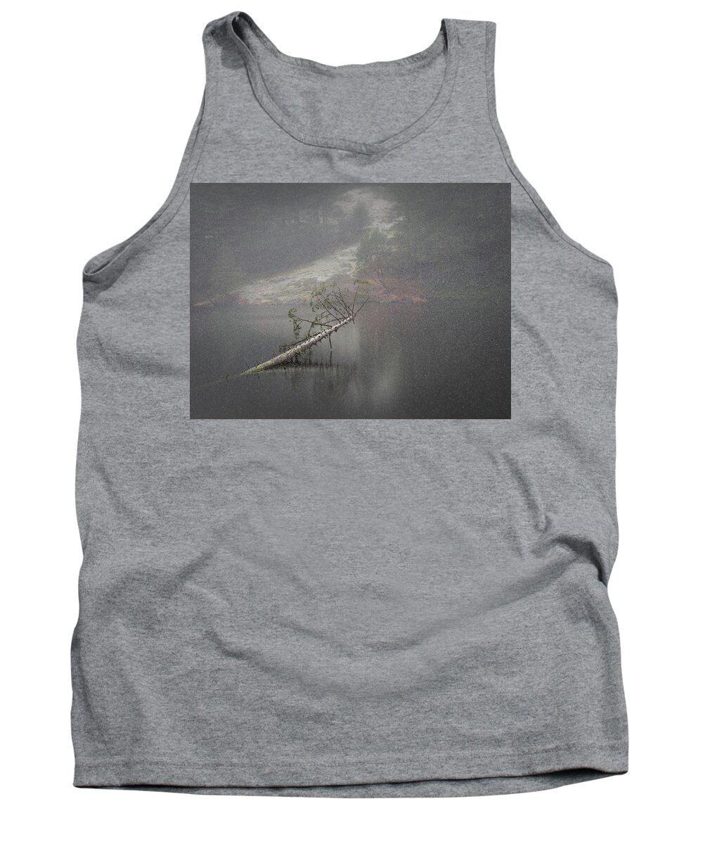 Snow Tank Top featuring the photograph Fallen Giant by Lynn Wohlers