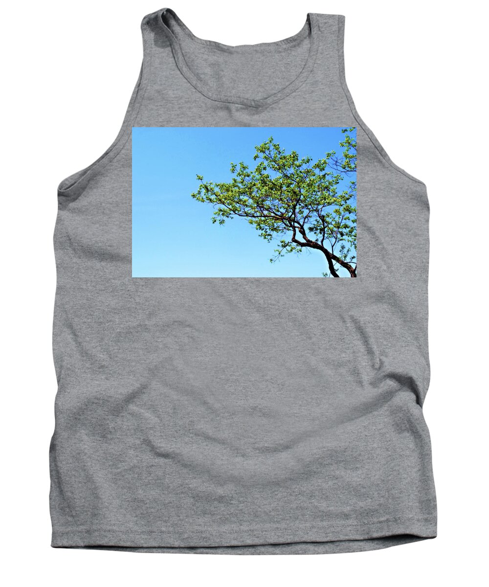 Tree Tank Top featuring the photograph Far Reaching by Michelle Wermuth