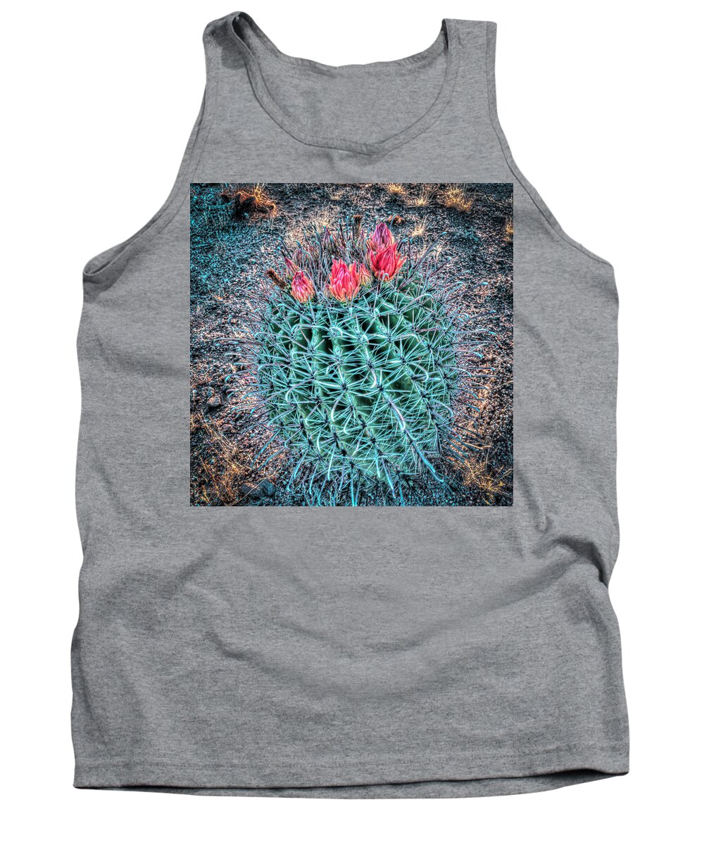 Desert Tank Top featuring the photograph Fishin' Hook by Laura Hedien