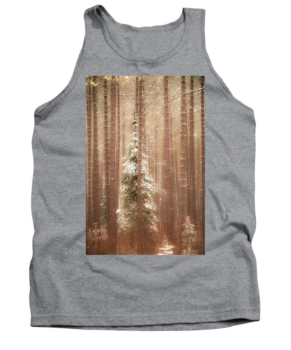 George Washington Pines Tank Top featuring the photograph George Washington Pines by Joe Kopp