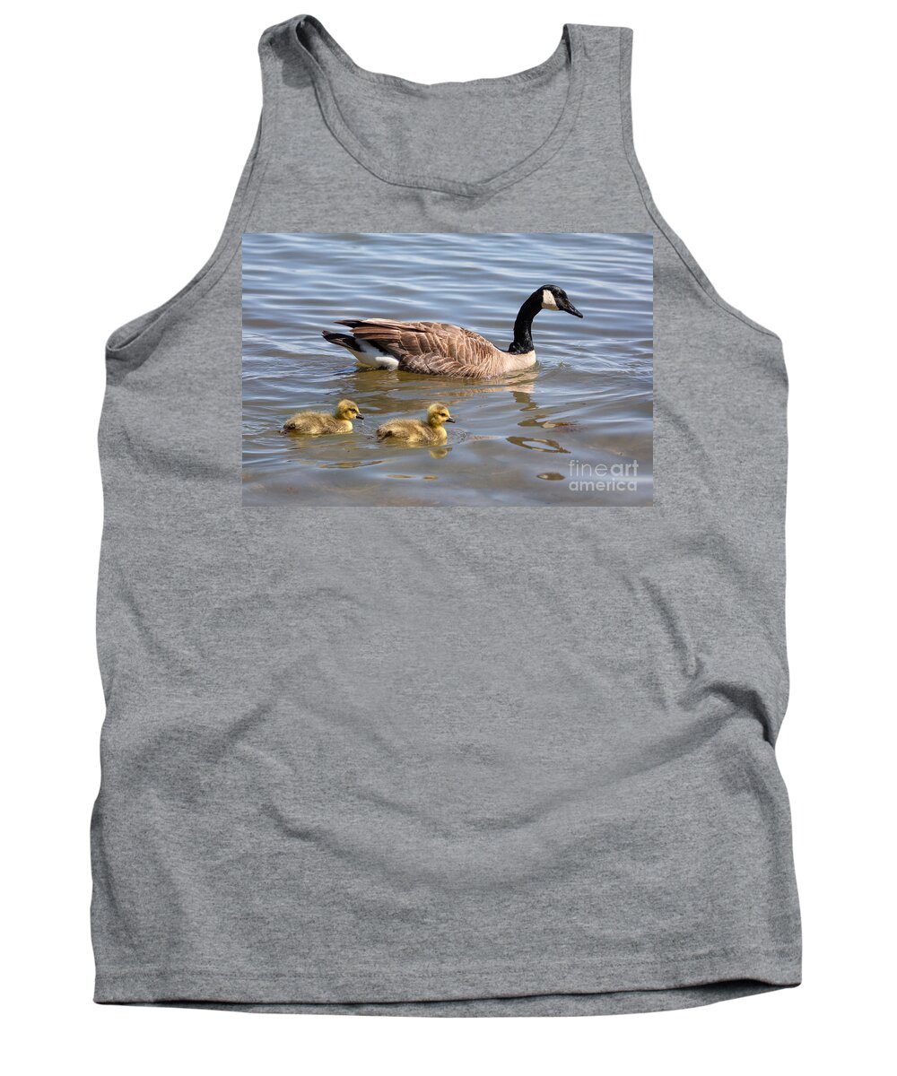 Photography Tank Top featuring the photograph Goslings swimming with Parent by Alma Danison