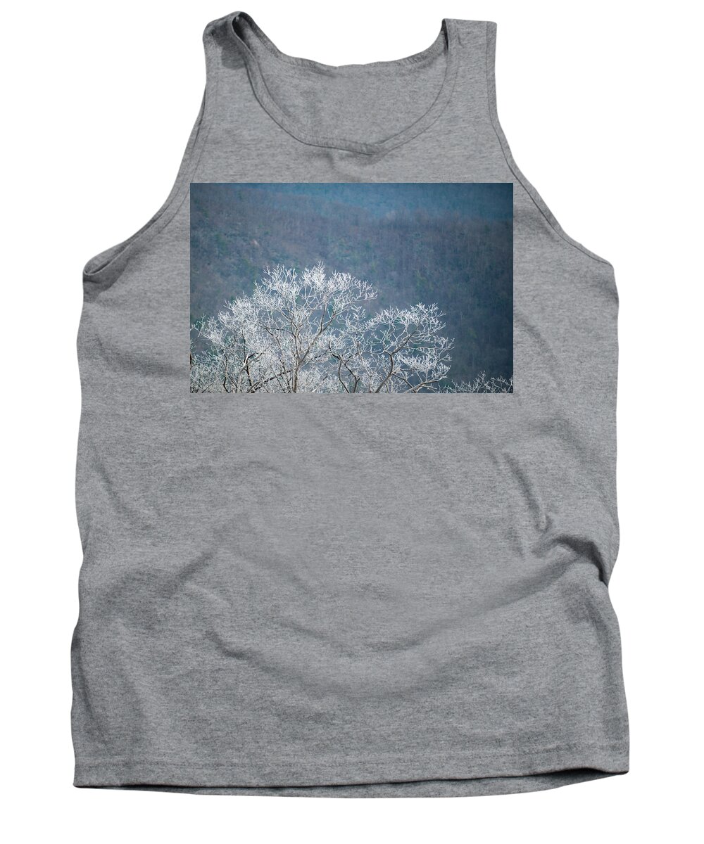 Blue Ridge Tank Top featuring the photograph Hoarfrost Collects on Branches by Mark Duehmig