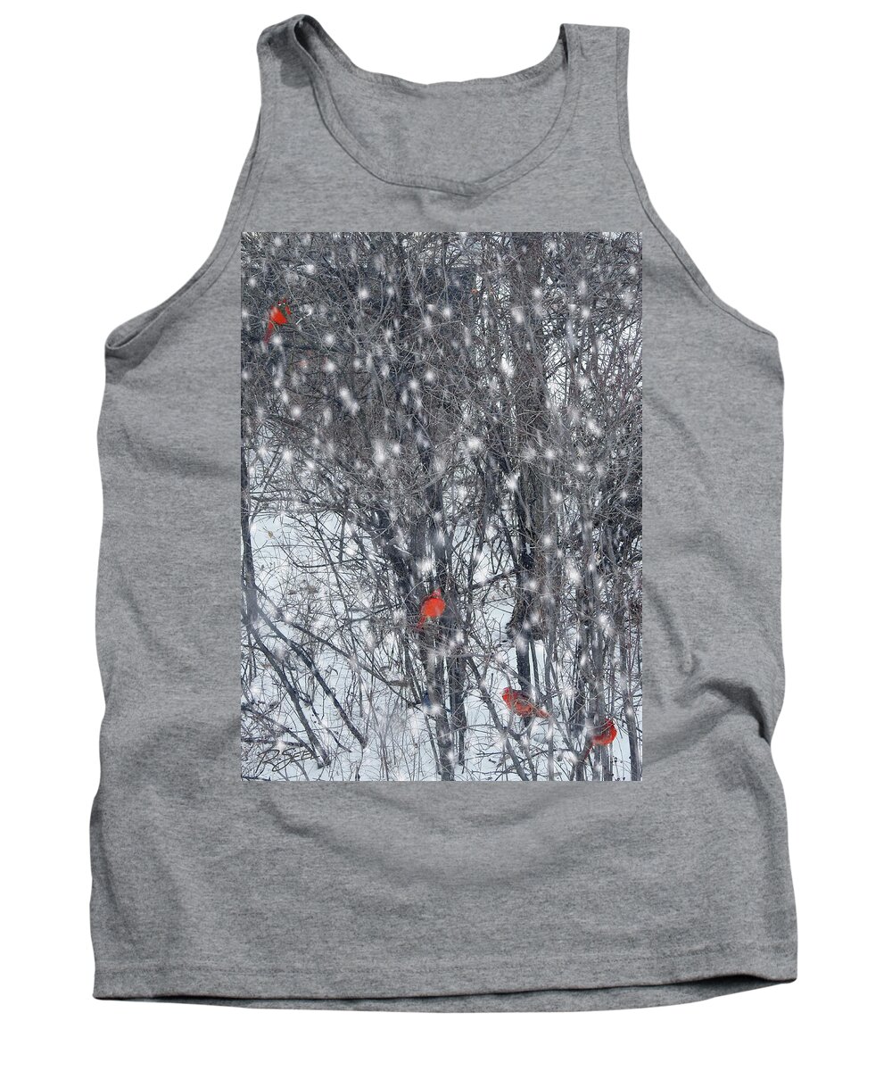 Cardinal Tank Top featuring the photograph Home of the Cardinals by Rod Seel