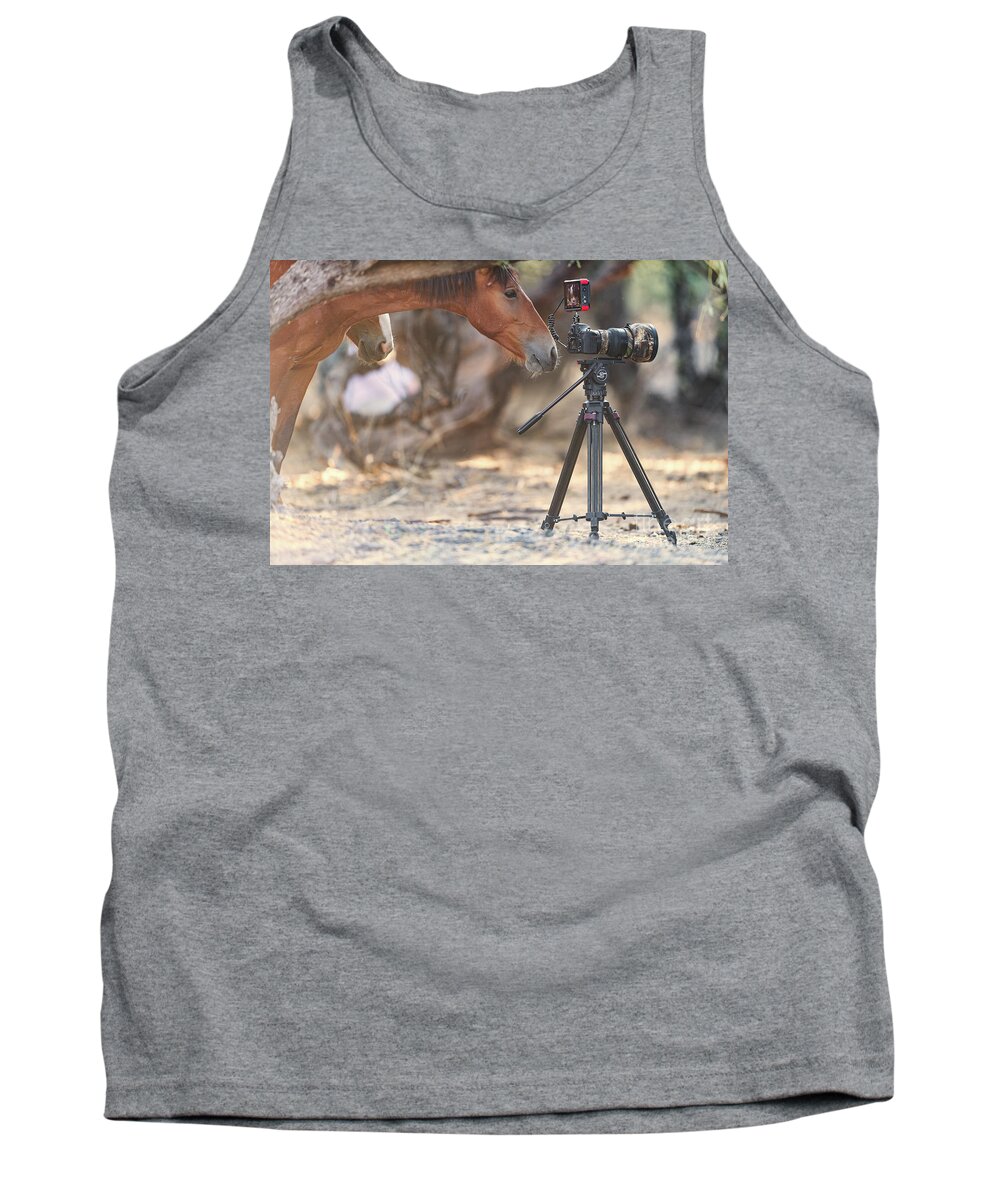 Salt River Wild Horses Tank Top featuring the photograph Horse Photographer by Shannon Hastings