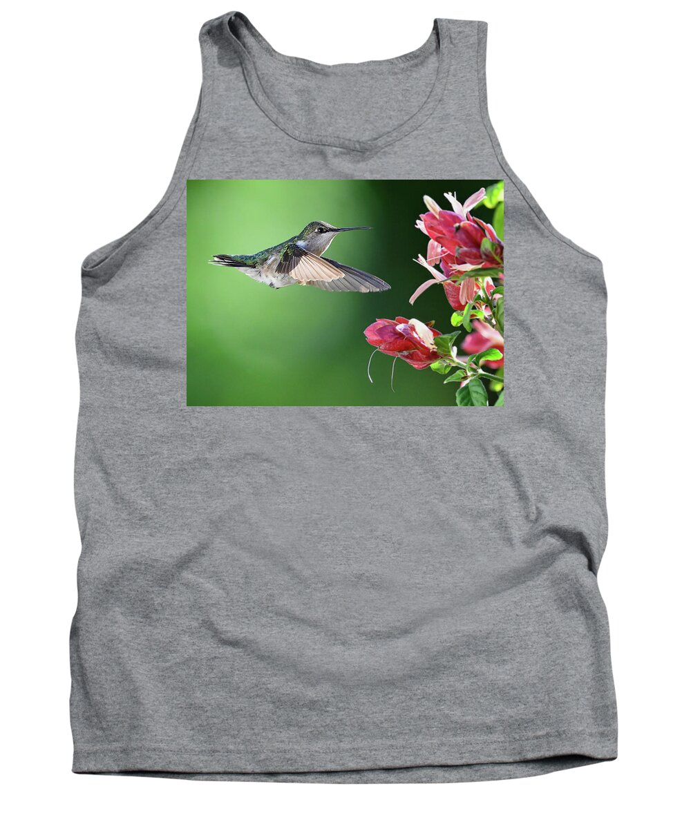 Archilochus Colubris Tank Top featuring the photograph Hummingbird Arrives at Flower by William Jobes