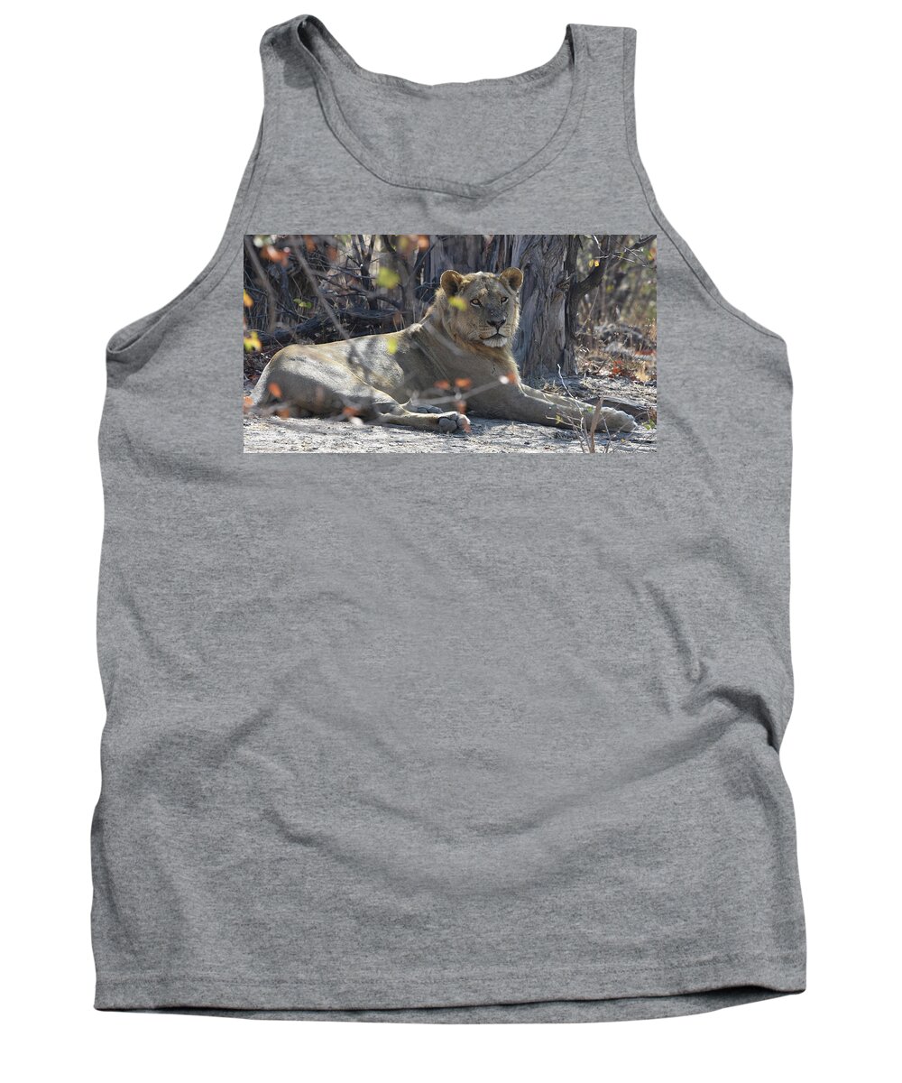 Lion Tank Top featuring the photograph Hwange Lion by Ben Foster