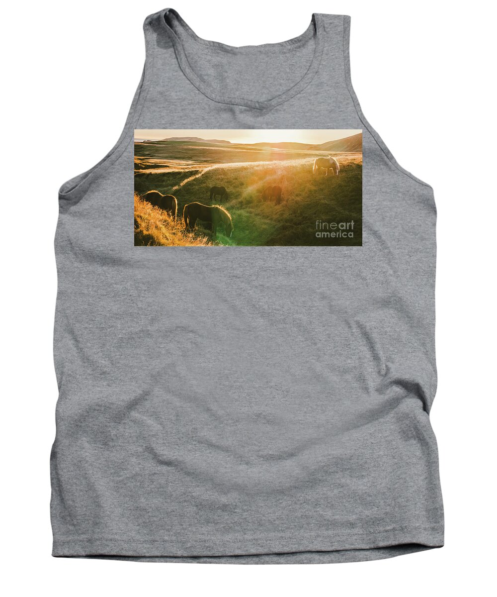 Animal Tank Top featuring the photograph Icelandic landscapes, sunset in a meadow with horses grazing ba by Joaquin Corbalan