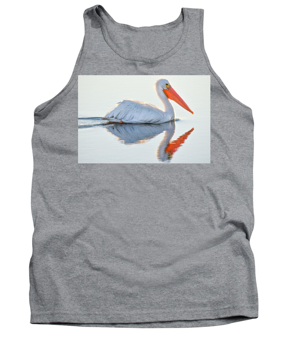 White Pelican Tank Top featuring the photograph Illuminated Reflections by Christopher Rice