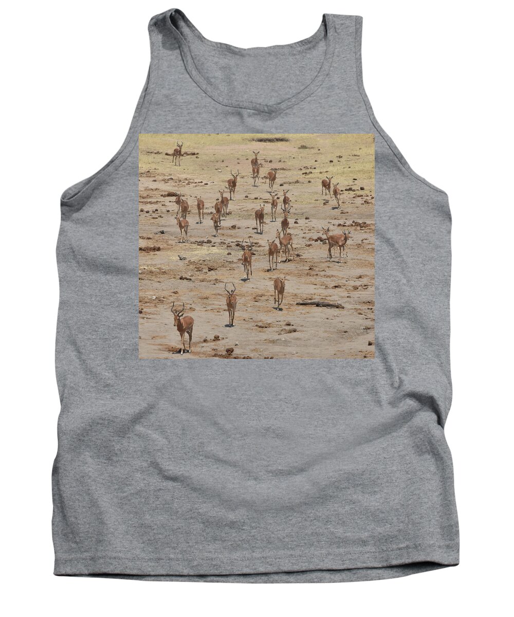 Impala Tank Top featuring the photograph Impala Coming to Water by Ben Foster