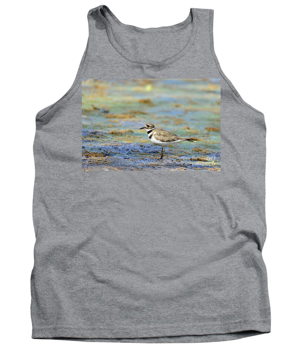 Natural Lake Tank Top featuring the photograph Killdeer Standing on Drained Lake by Ilene Hoffman