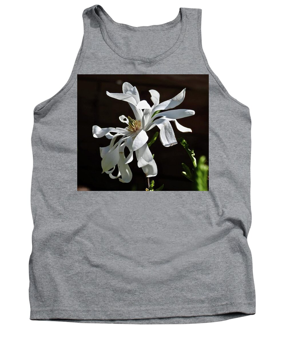 Magnolia Tank Top featuring the photograph Magnificent Magnolia by Kathy Ozzard Chism
