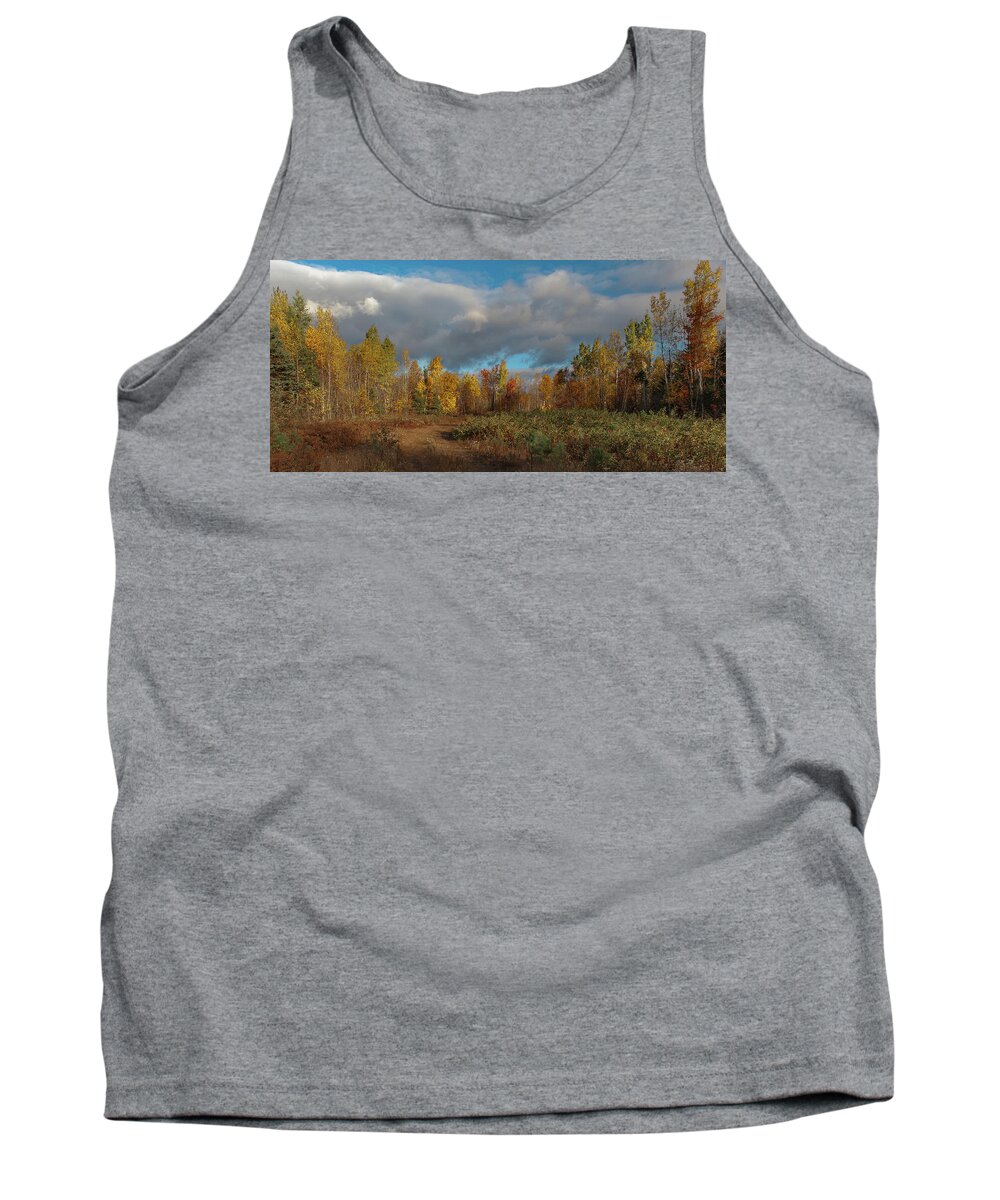 Maine Tank Top featuring the photograph Maine Wilderness Color 2 by Rick Hartigan