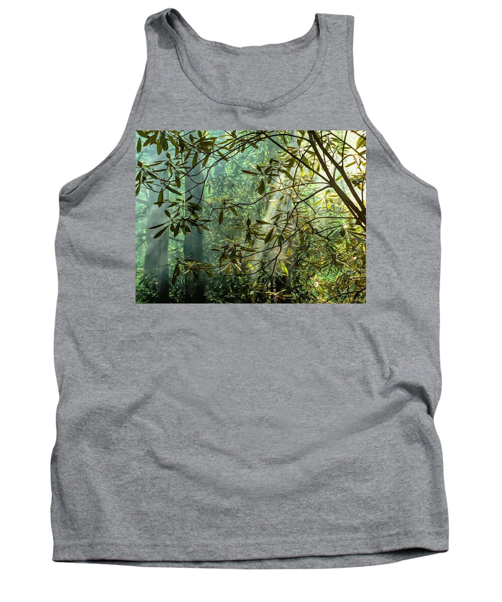Trees Tank Top featuring the pyrography Misty Morning Light by Susan Hope Finley