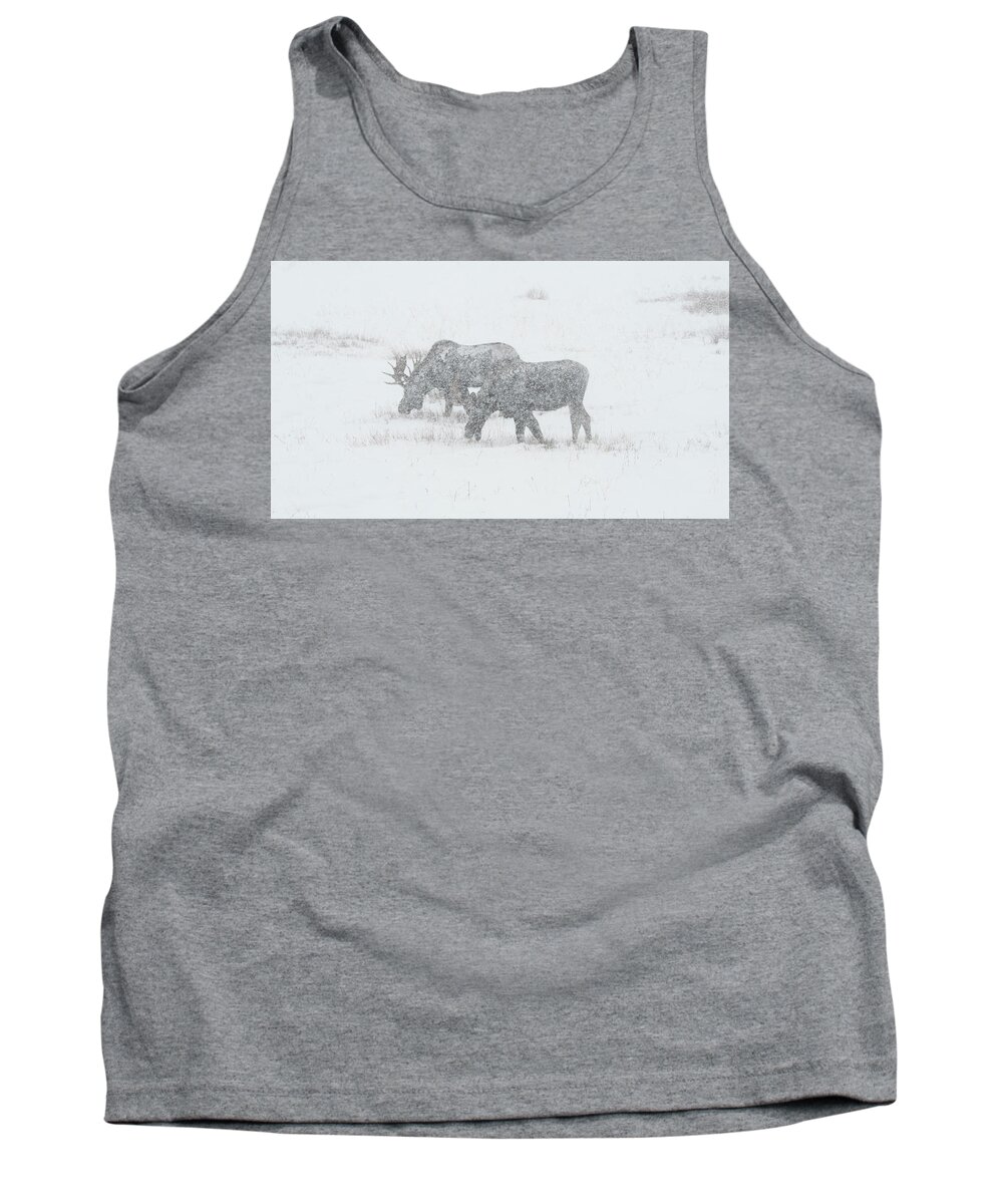 Moose Tank Top featuring the photograph Moose In A Snowstorm by Patrick Nowotny