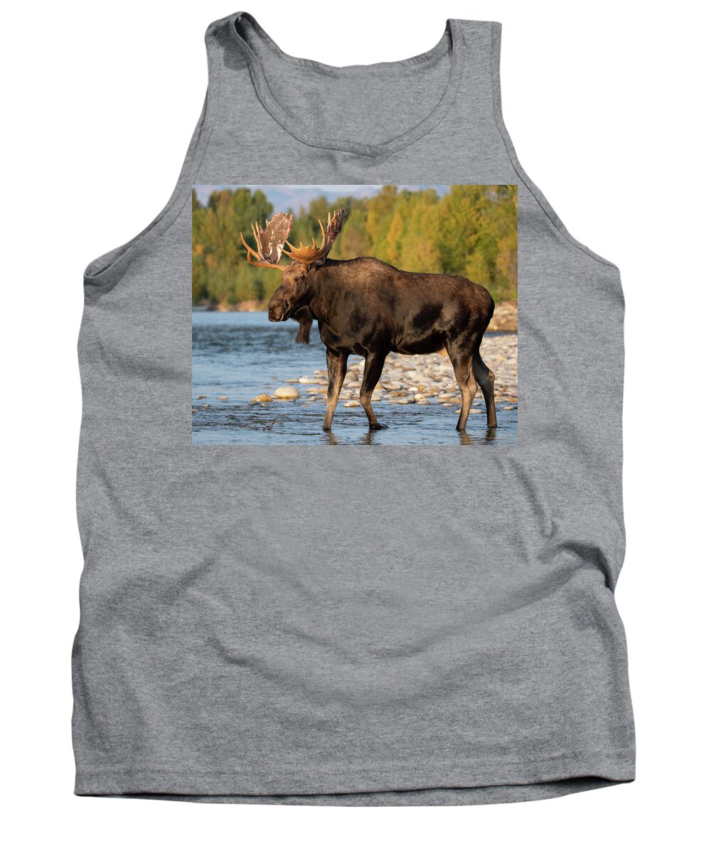 Wildlife Tank Top featuring the photograph Morning at the river by Mary Hone