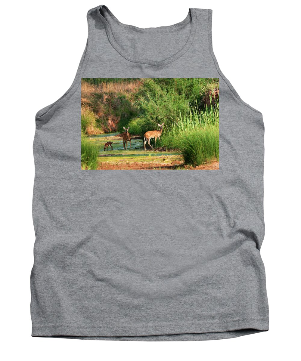 Richard E. Porter Tank Top featuring the photograph Morning Drink, Color - Deer, Palo Duro Canyon State Park, Texas by Richard Porter