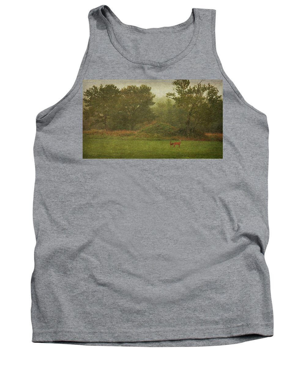 Morning Fog Tank Top featuring the photograph Morning Fog by Cindi Ressler