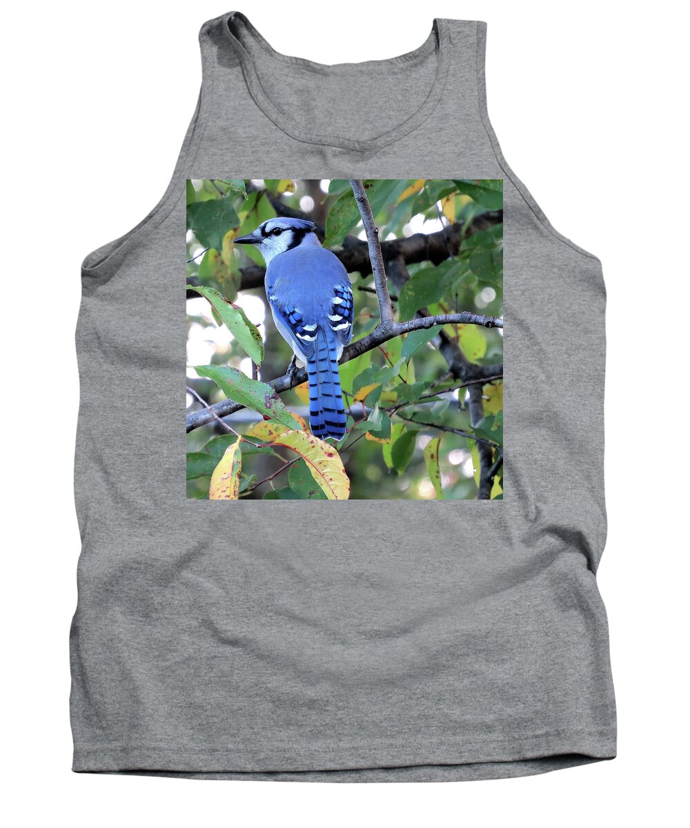 Blue Jay Tank Top featuring the photograph Mr. Blue in Autumn by Linda Stern