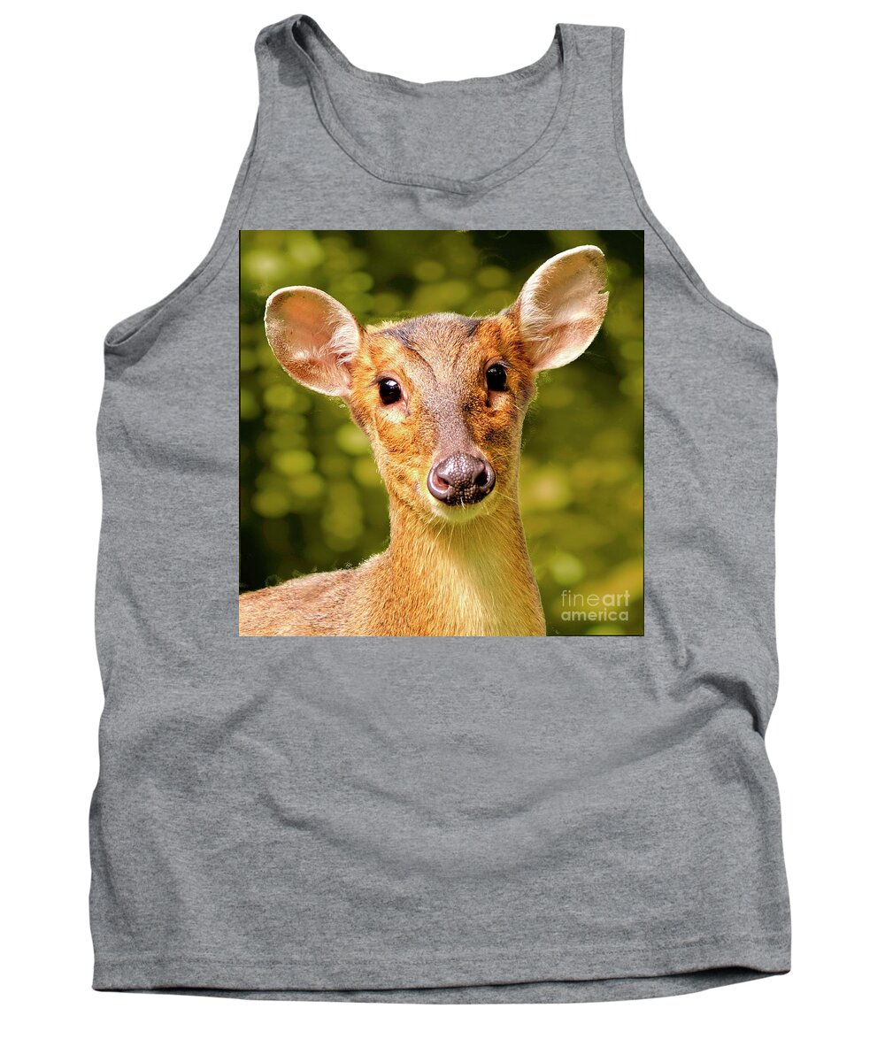 Muntjac Tank Top featuring the photograph Muntjac Deer by Martyn Arnold