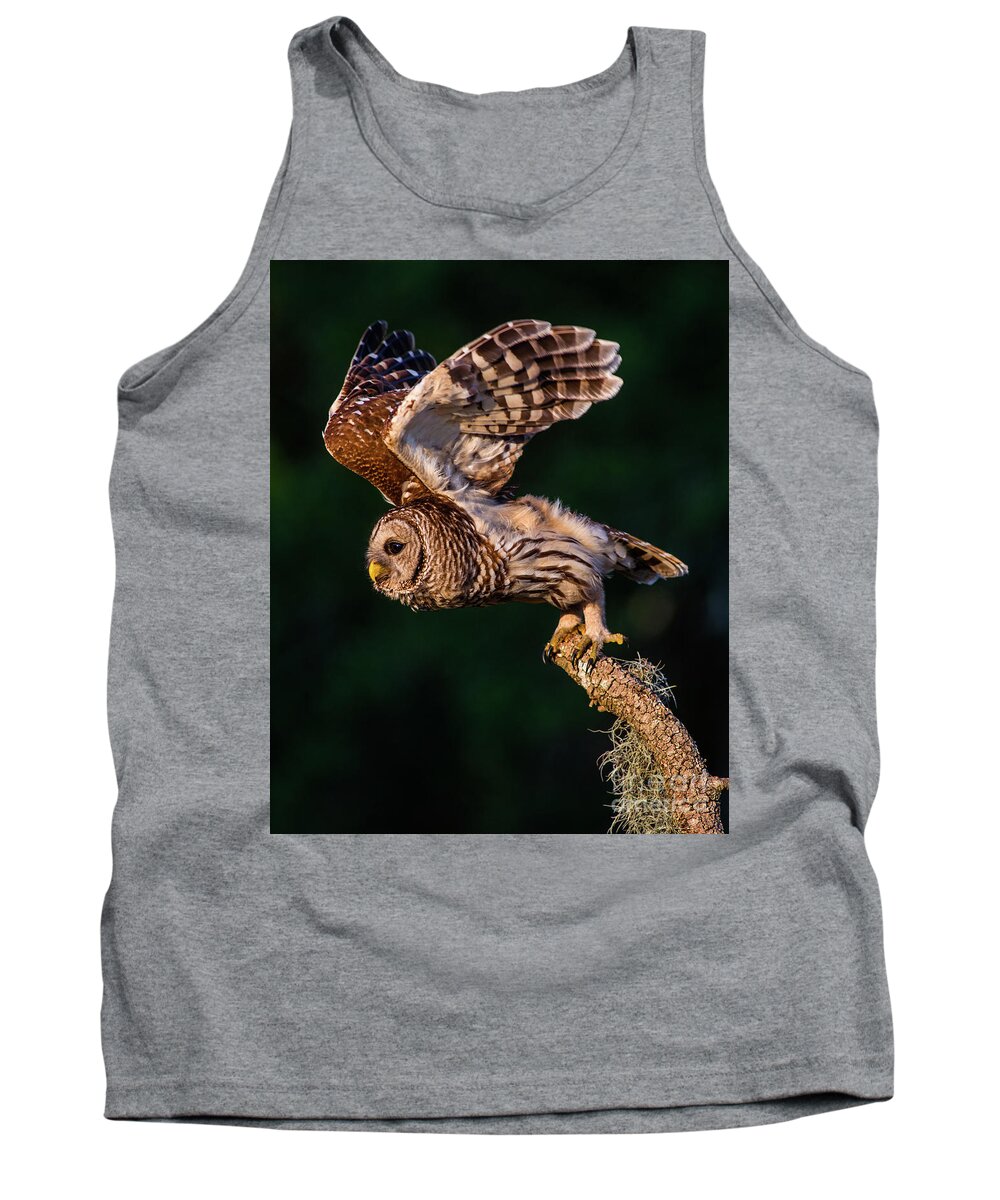 Barred Owl Tank Top featuring the photograph Off for the Hunt by Jane Axman