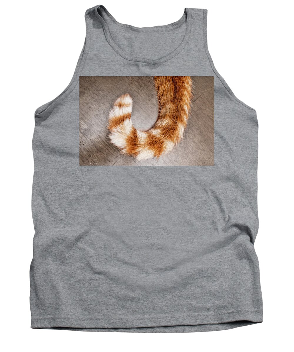 Orange And White Cat Tail Tank Top featuring the photograph Orange and White Cat Tail by Sharon Popek