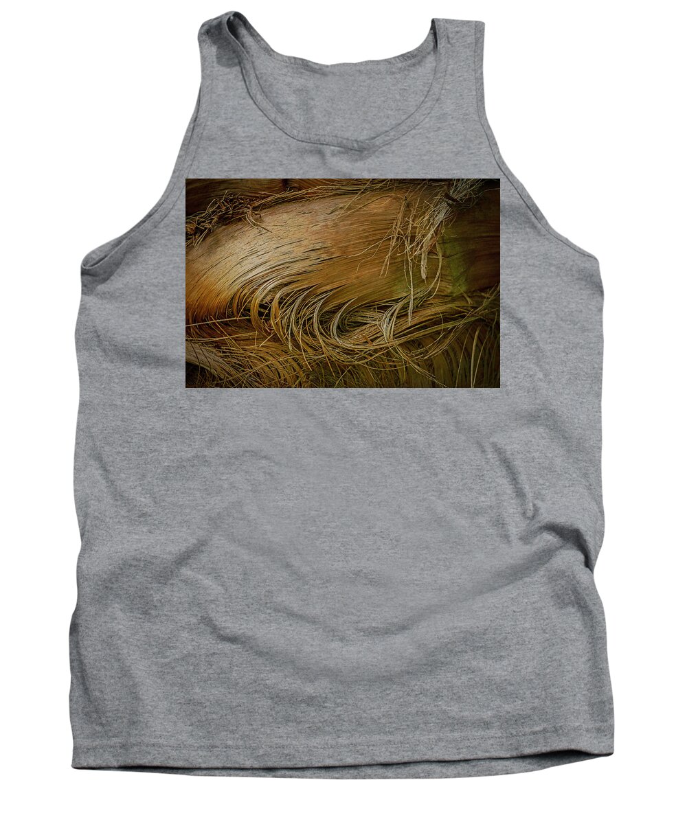 Texturas Tank Top featuring the photograph Palm tree straw by Silvia Marcoschamer