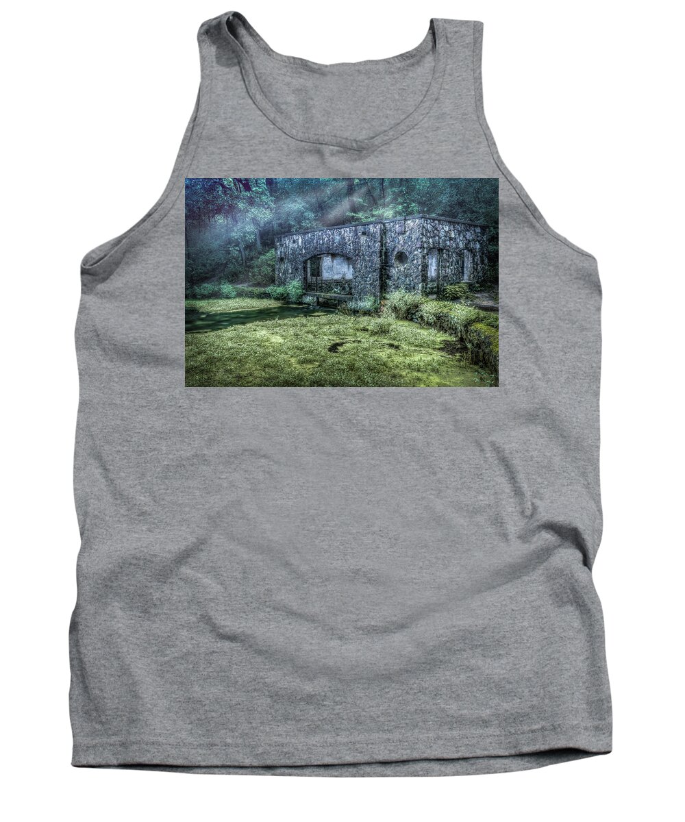 Springhouse Tank Top featuring the photograph Paradise Springs by Brad Bellisle