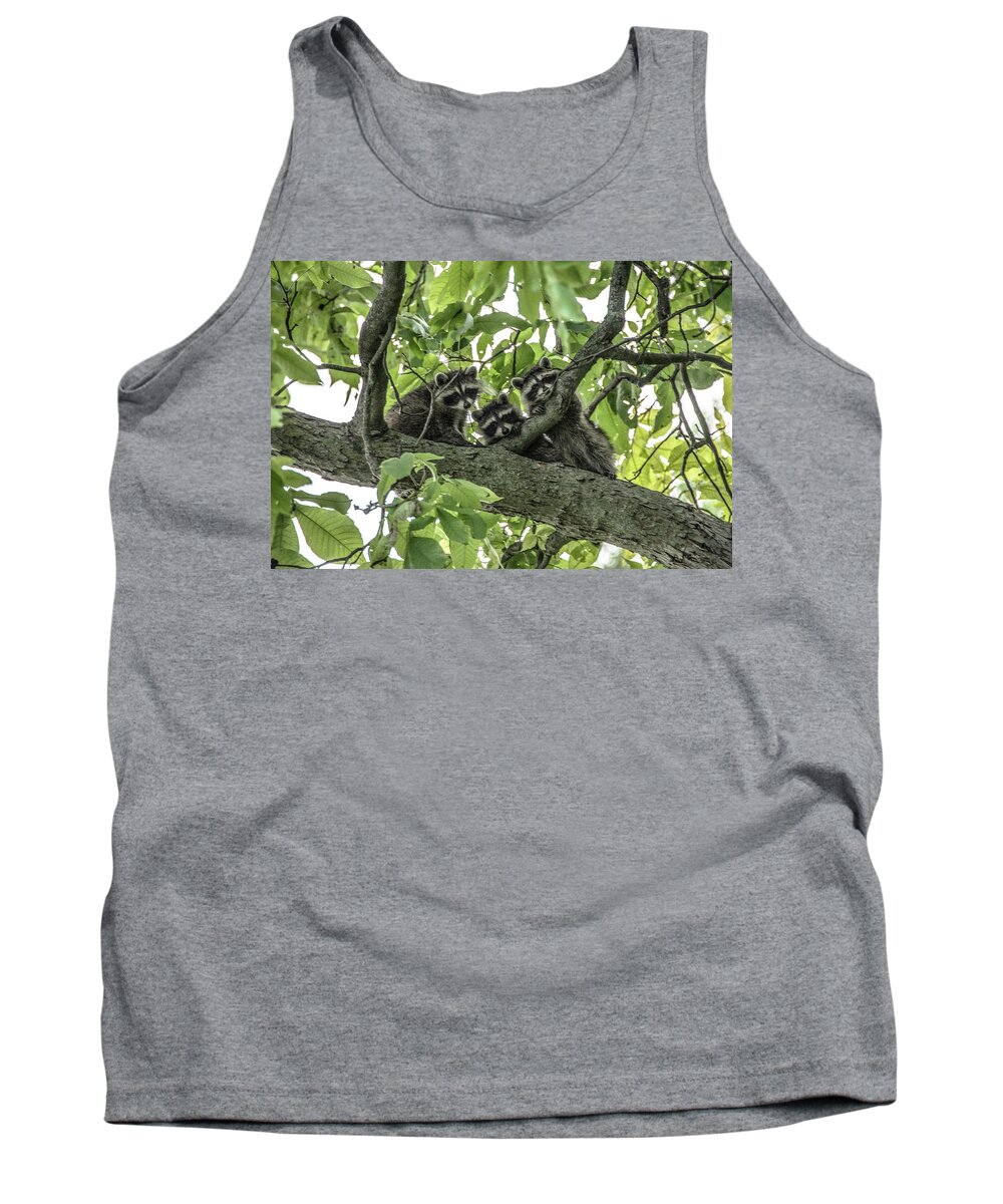 Raccoons Tank Top featuring the photograph Peekaboo Triplets by Diane Lindon Coy