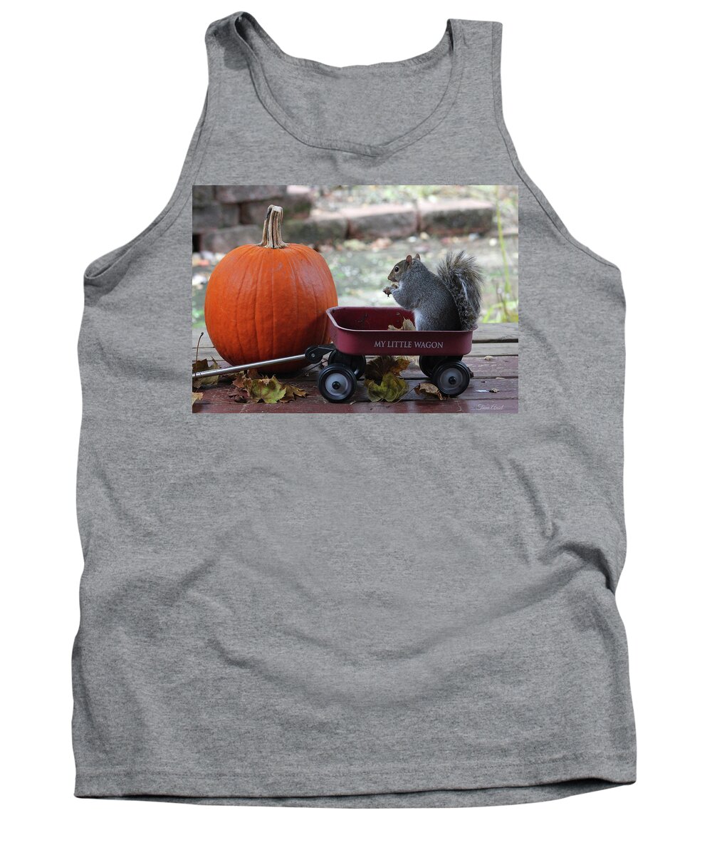 Squirrels Tank Top featuring the photograph Ready to Ride My Little Red Wagon by Trina Ansel