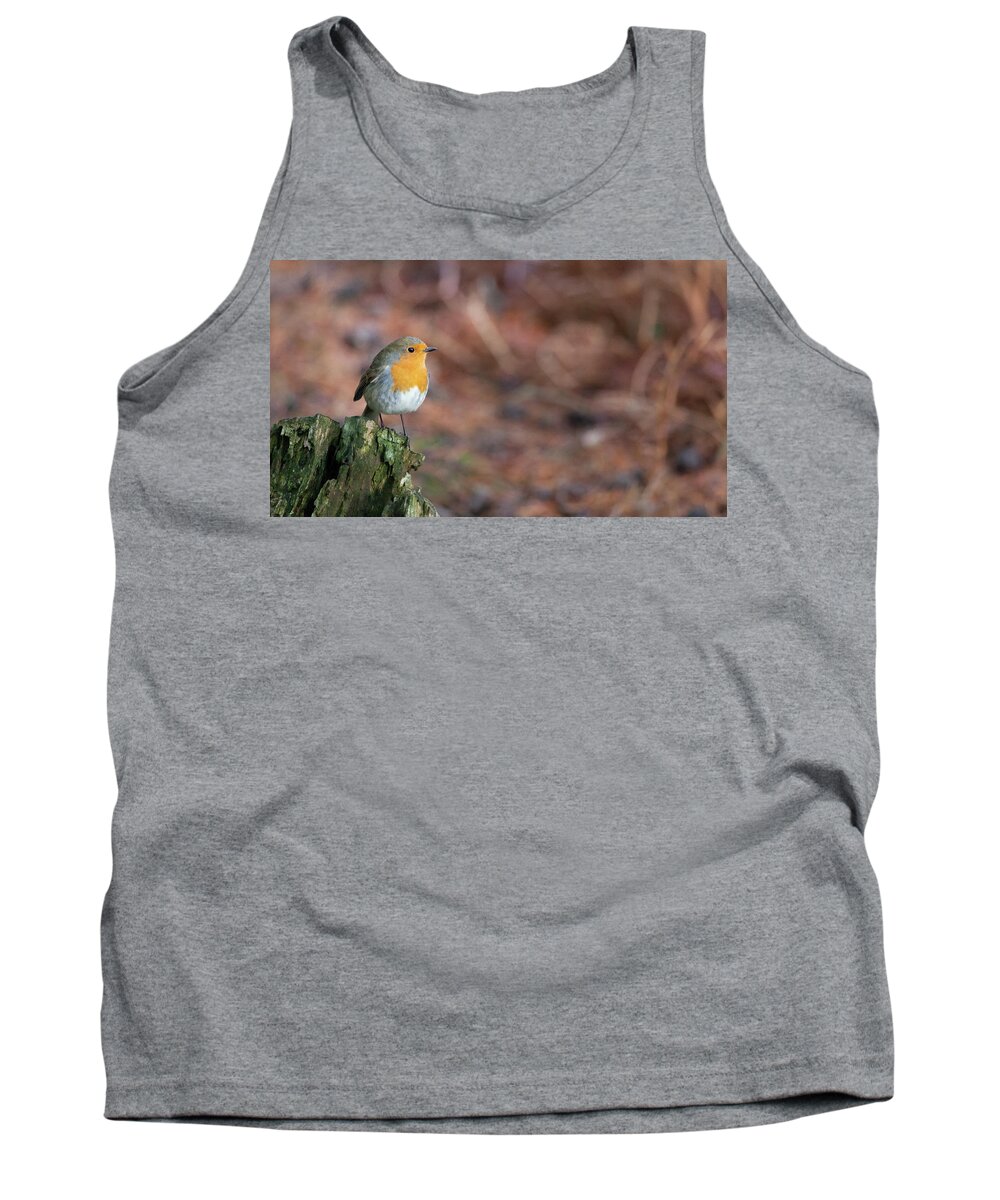 Robin Tank Top featuring the photograph Red Robin in the woods at Autumn by Anita Nicholson
