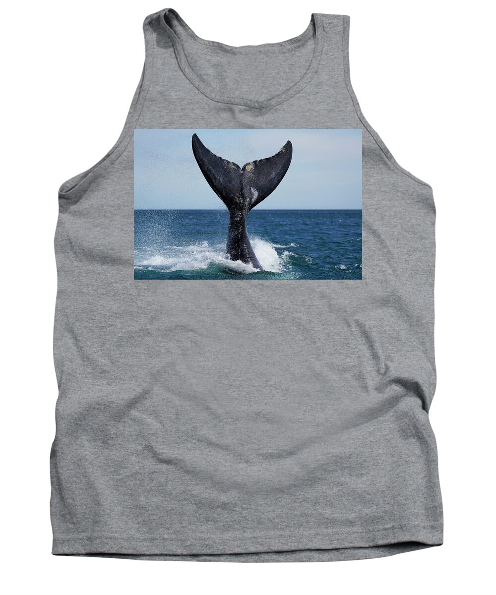 00575422 Tank Top featuring the photograph Right Whale Tail Slapping by Hiroya Minakuchi