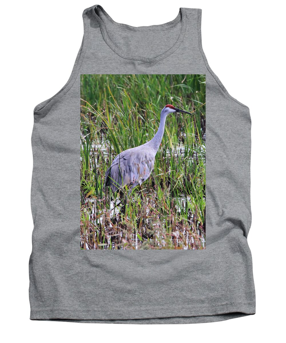 Sandhill Crane Tank Top featuring the photograph Sandhill Crane by Paula Guttilla