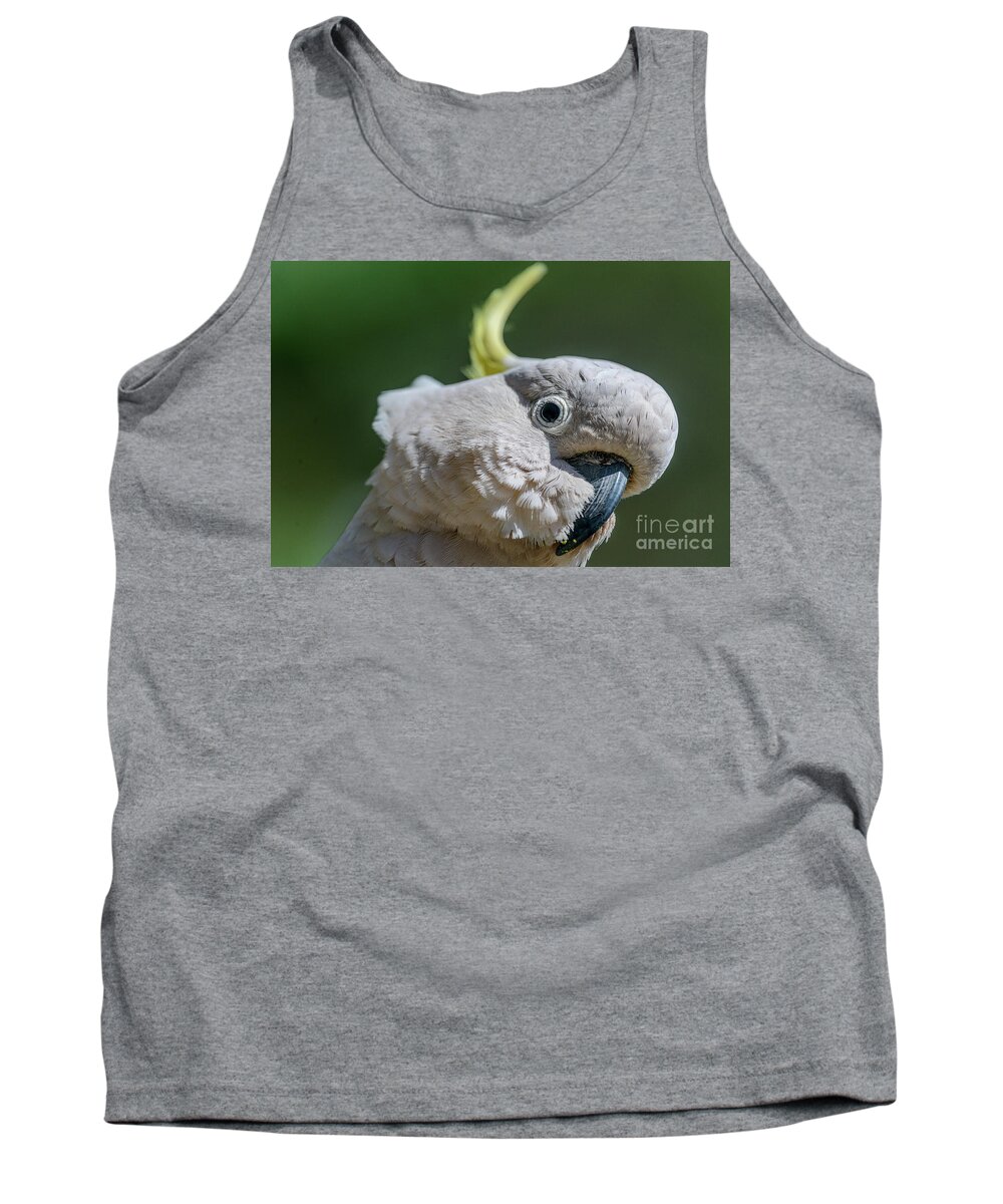 Nature Tank Top featuring the photograph Seriously? by Werner Padarin