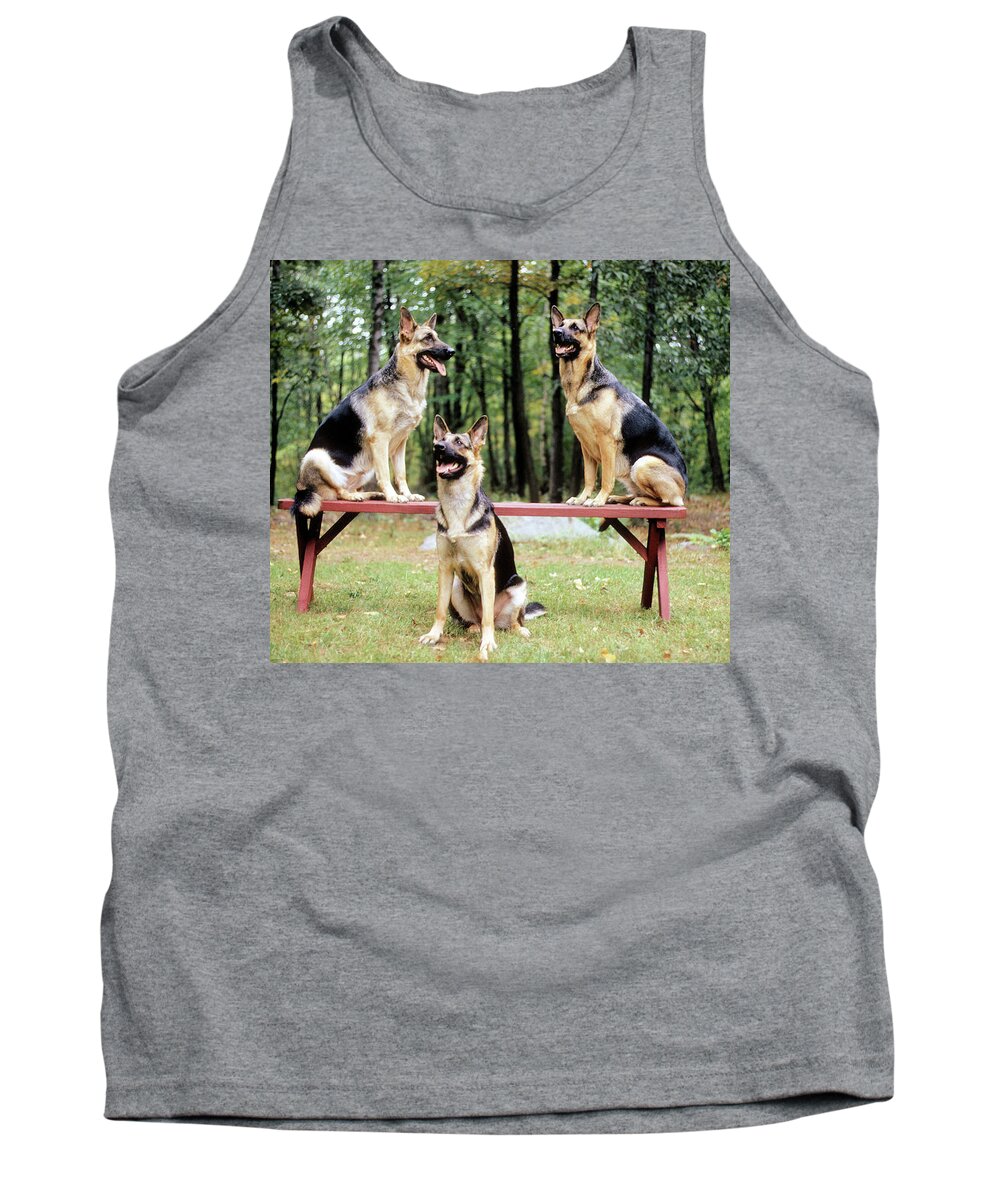 German Shepherds Tank Top featuring the photograph Shepherds on a Bench by Geoff Jewett