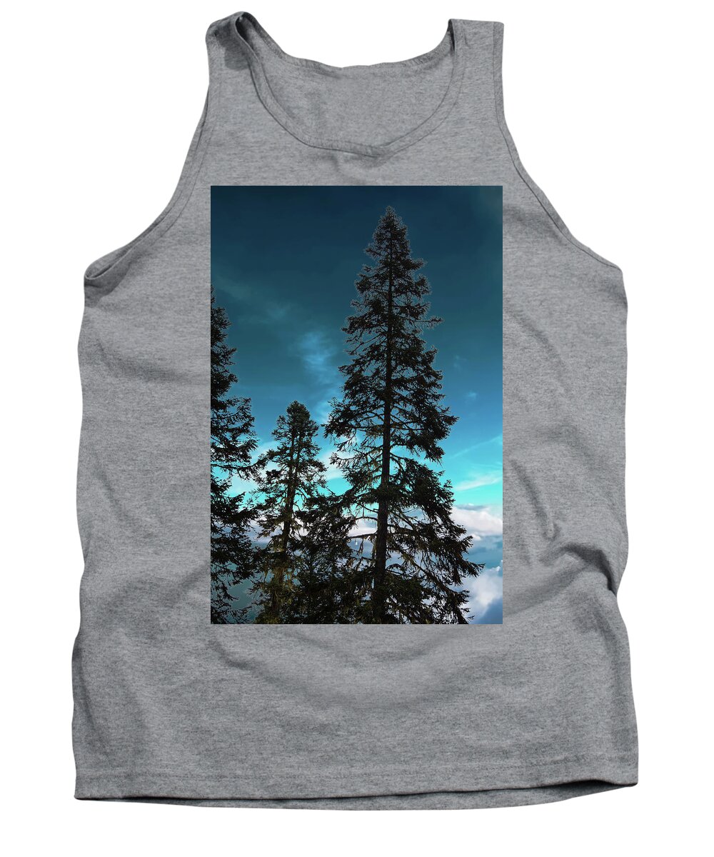 British Columbia Tank Top featuring the photograph Silhouette of tall conifers in autumn by Steve Estvanik