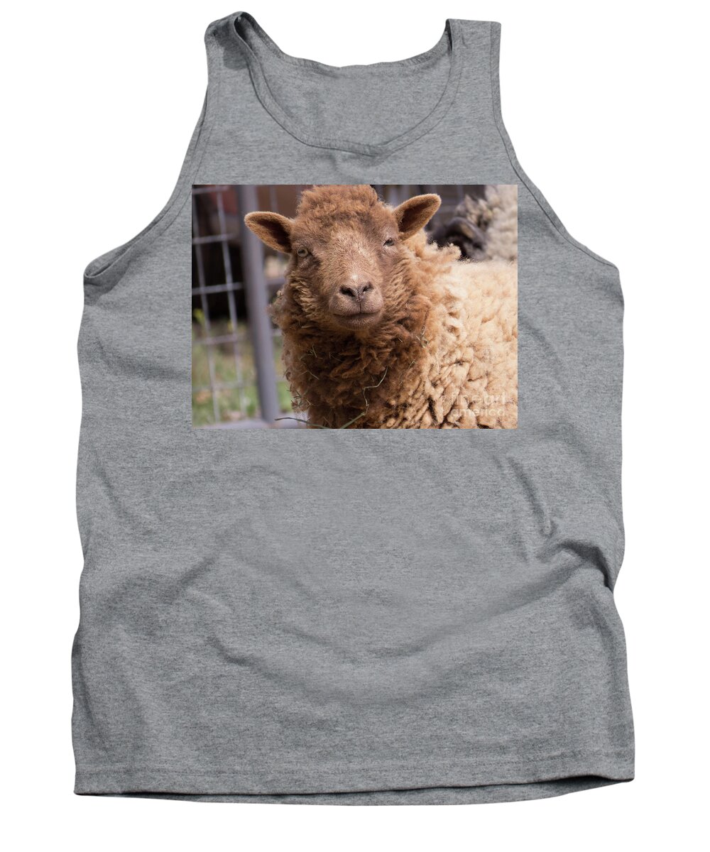 Sheep Tank Top featuring the photograph Smirking Sheep by Christy Garavetto