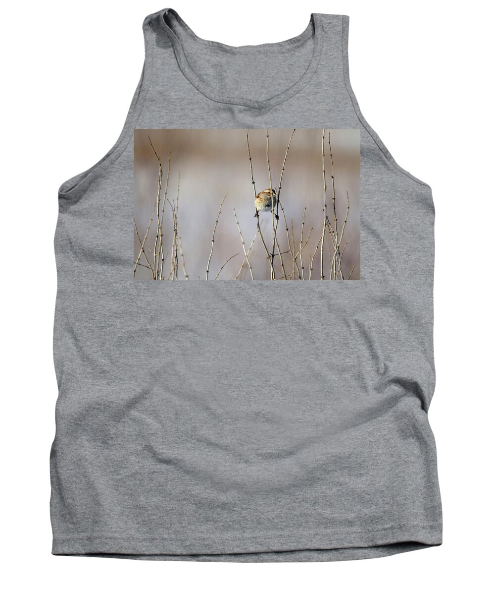 Winter Tank Top featuring the photograph Sparrow by Brook Burling