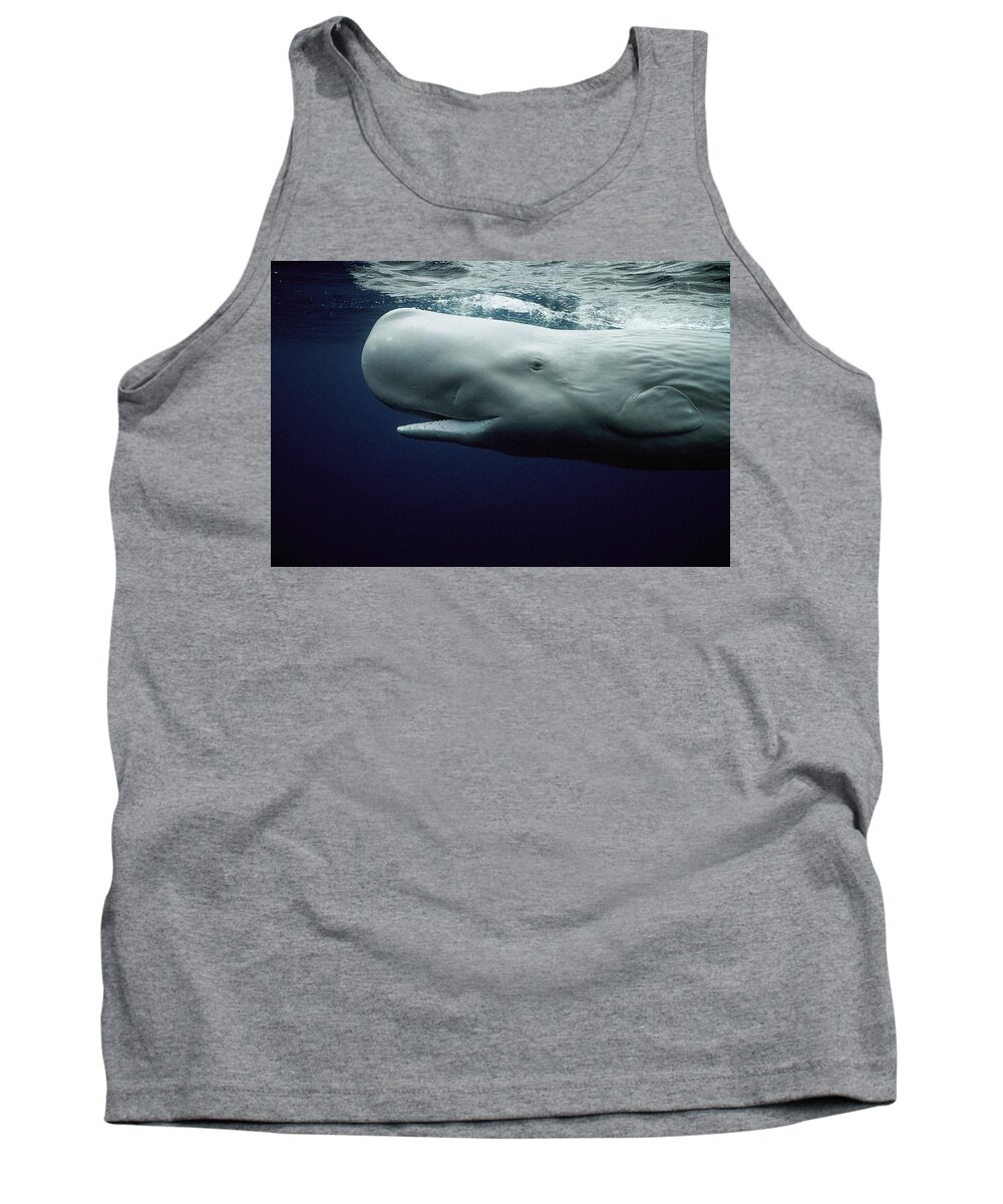 Mp Tank Top featuring the photograph White Sperm Whale by Hiroya Minakuchi