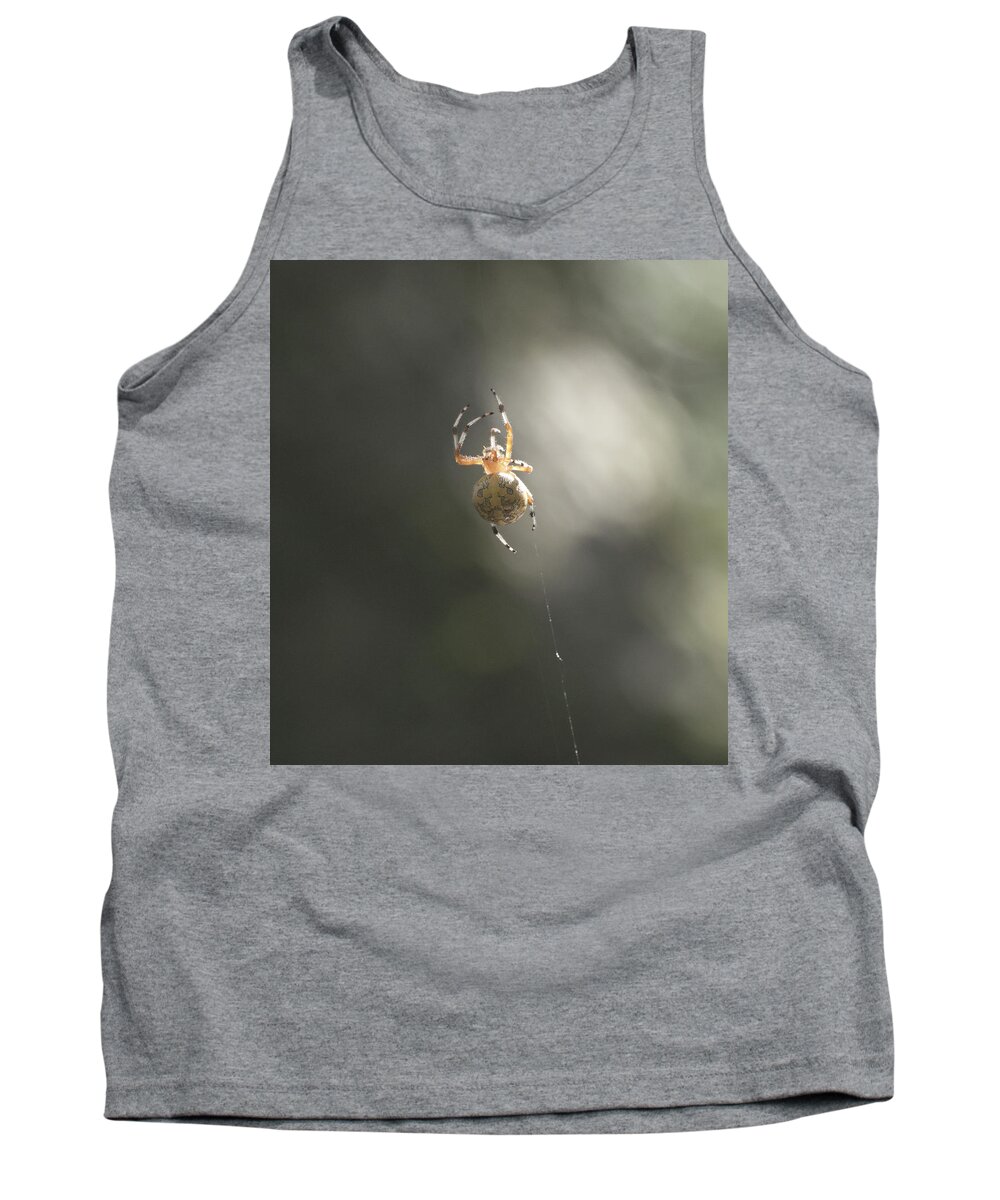 Animal Tank Top featuring the photograph Spider by Paul Ross