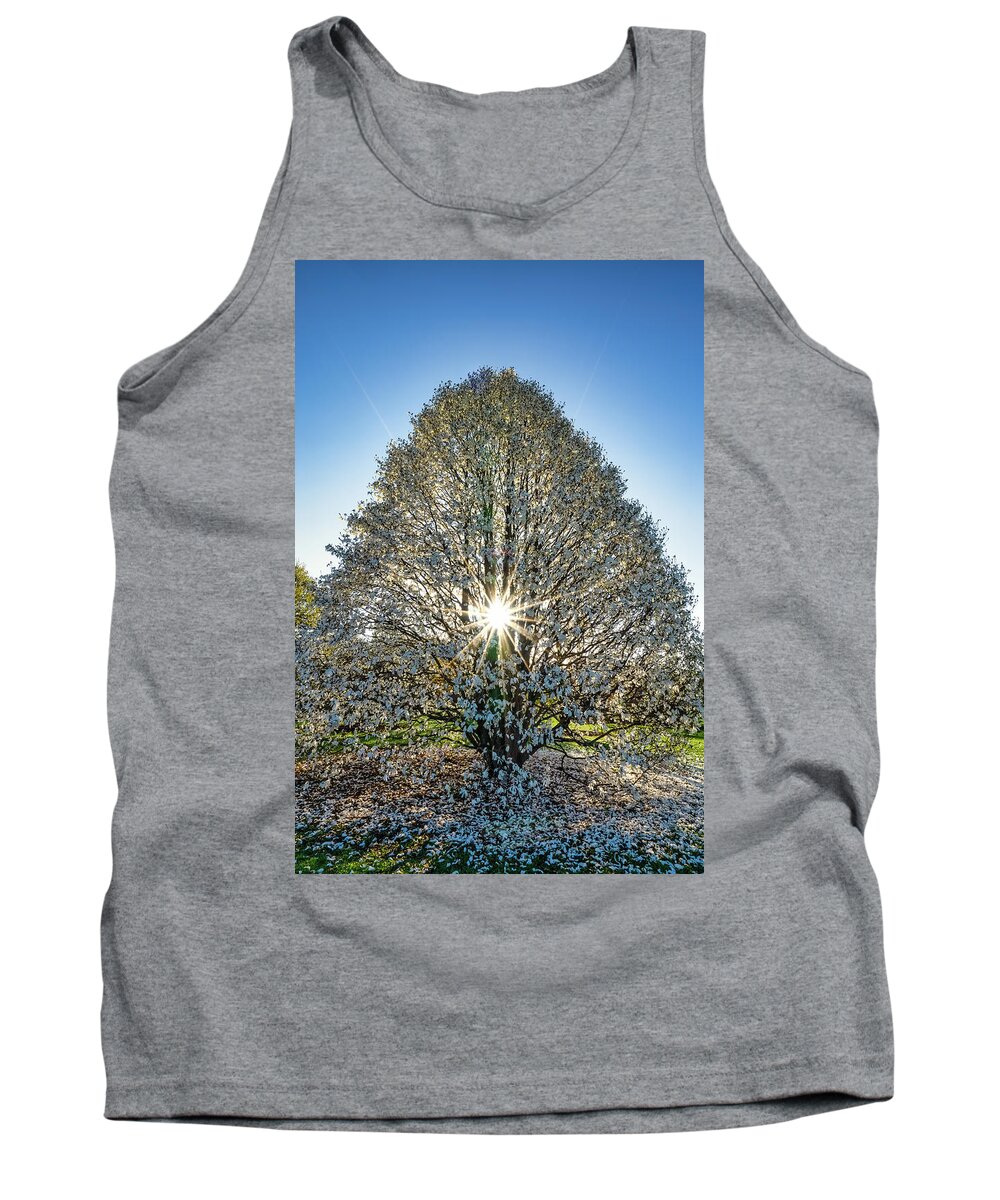 Tree Tank Top featuring the photograph Spring by Brad Bellisle