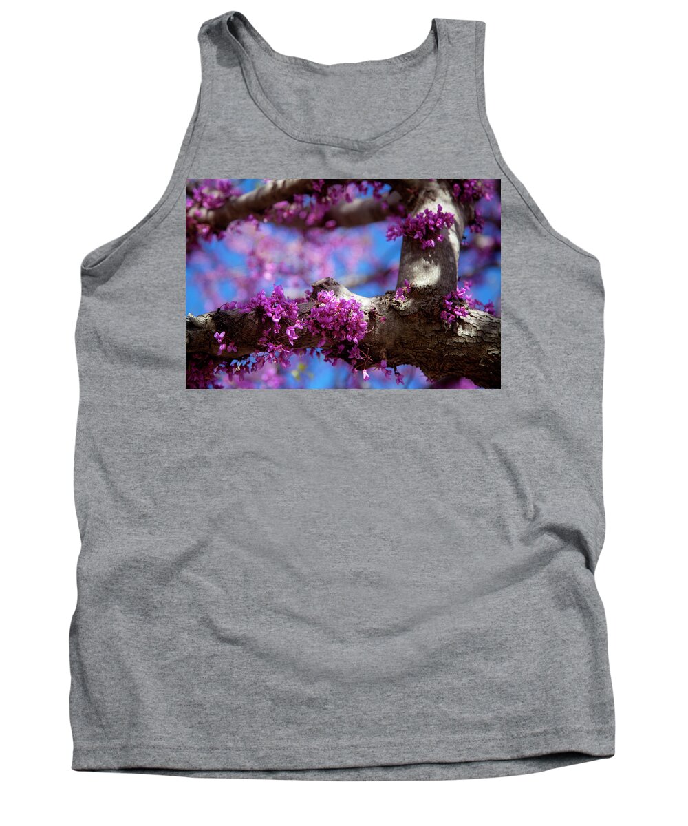 Oklahoma Tank Top featuring the photograph Spring in Oklahoma by Toni Hopper