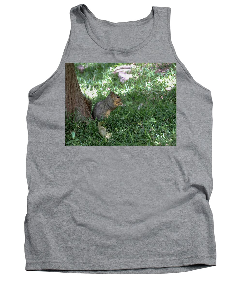 Squirrel Tank Top featuring the photograph Squirrel Dinning by C Winslow Shafer